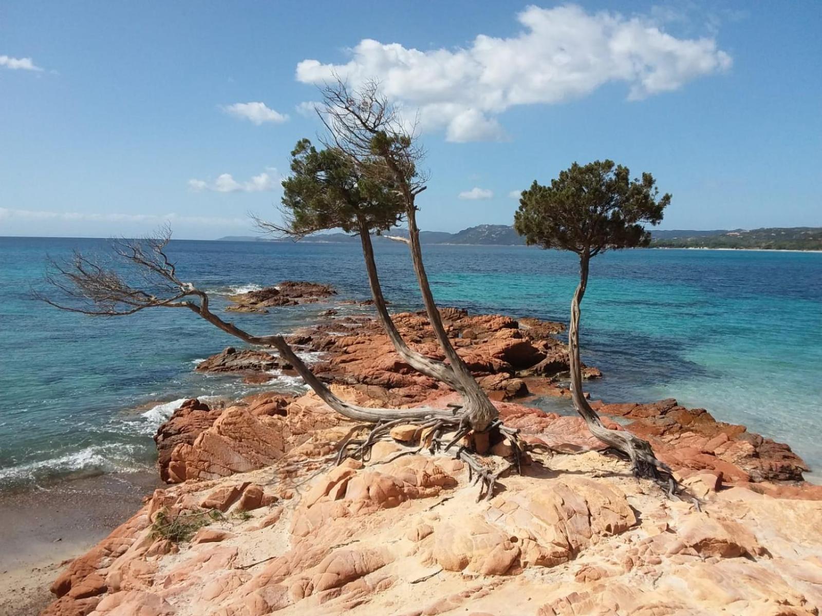 Villa Acqua Doria Coti-Chiavari (Corsica) Exterior foto